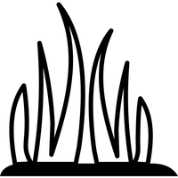 Diheptyl Succinate