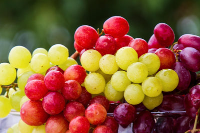 Grape Seed Oil
