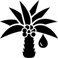 Cetearyl Alcohol